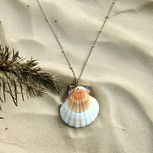Lola shell necklace