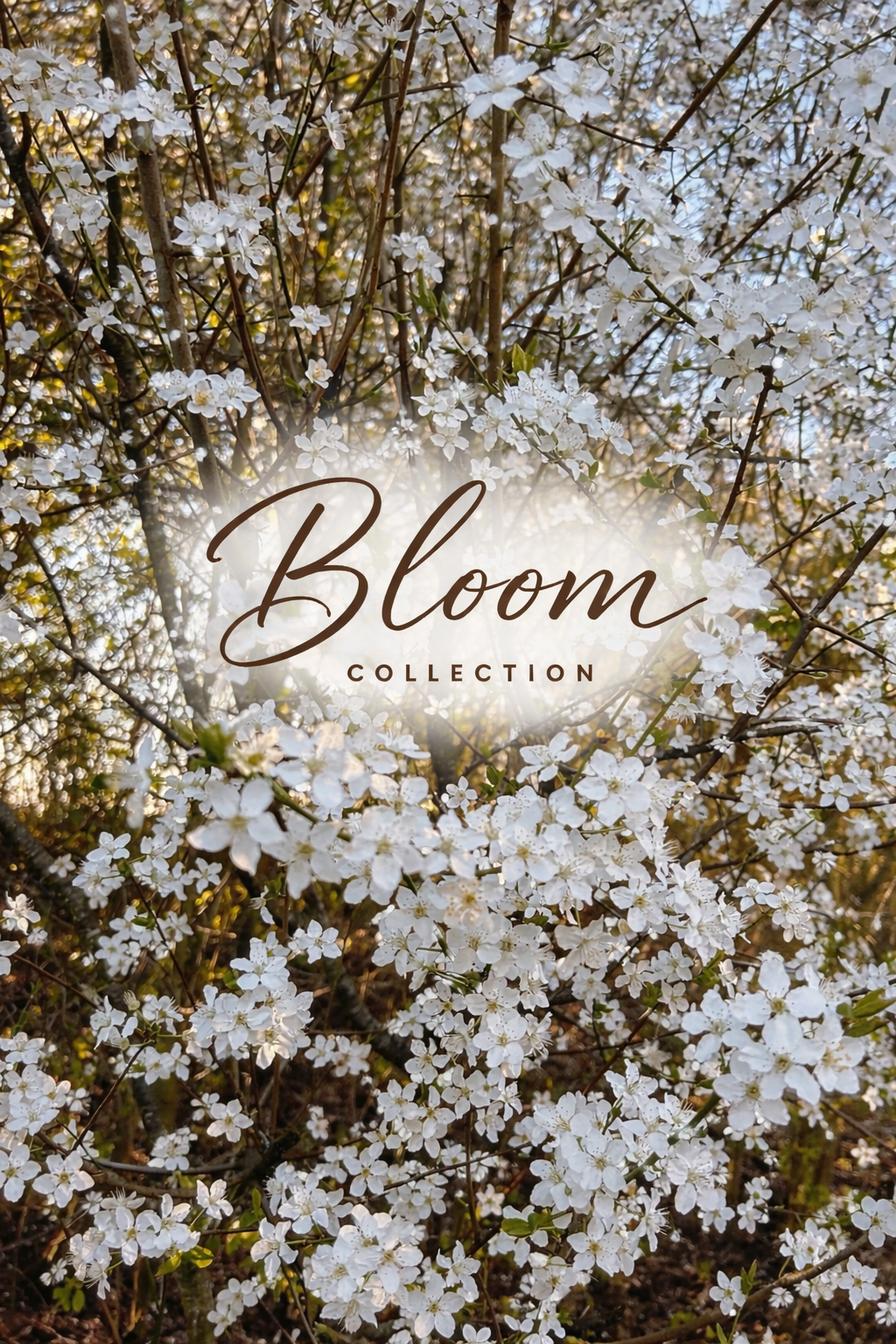 Bloom Collection
